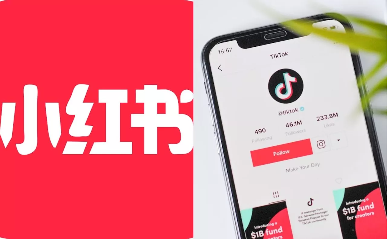 Usuarios de TikTok migran a Xiaohongshu ante posible prohibición en EU