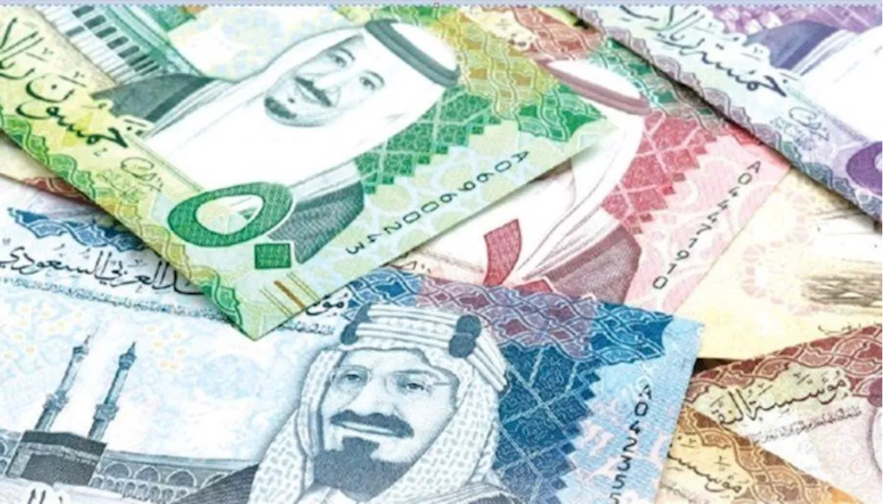 سعر الريال السعودي مقابل الجنيه المصري اليوم الثلاثاء 14-1-2025