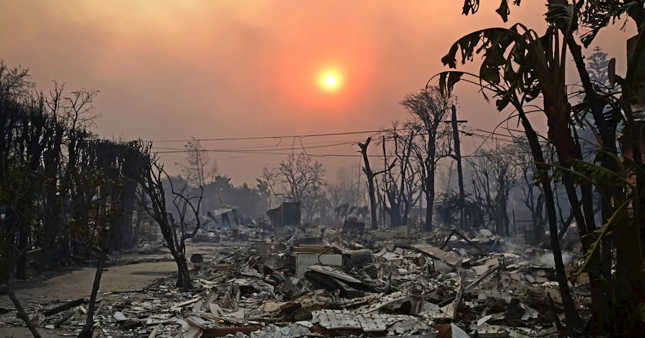 California Wildfire: Janitor Stays Put, Defends Apartment Complex