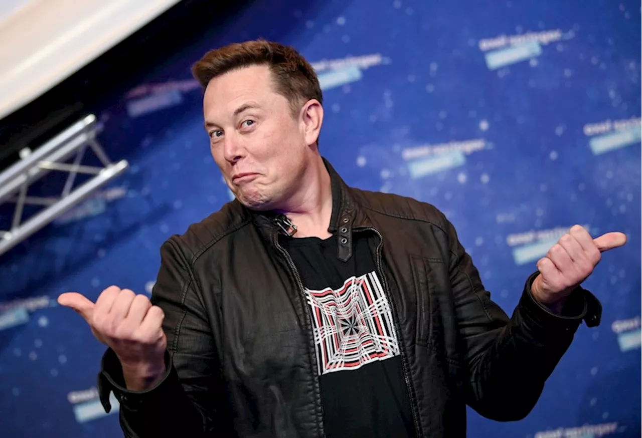 Elon Musk: Profi-Gamer oder Betrüger?