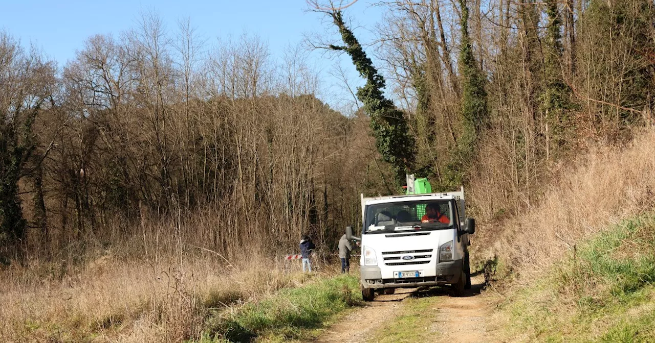 Operaio 59enne addetto alla manutenzione del verde muore travolto da un albero nel Pistoiese