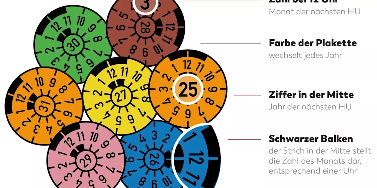 TÜV-Plakette: Farben, Symbole und Wichtige Informationen zum Check