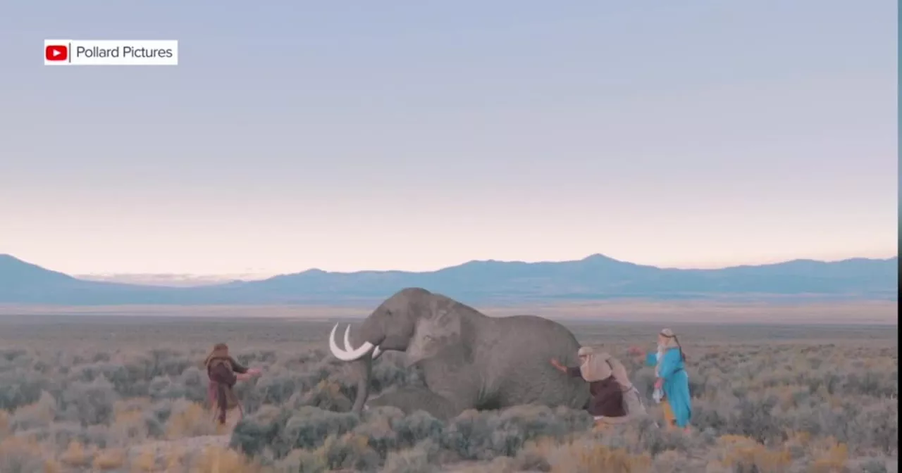 Utah team in the running for Doritos Super Bowl ad