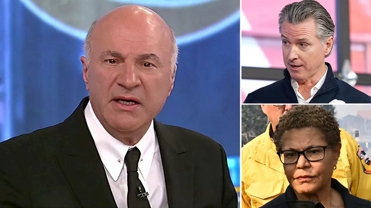 O'Leary Calls for Newsom, Bass Resignation Amid California Wildfires