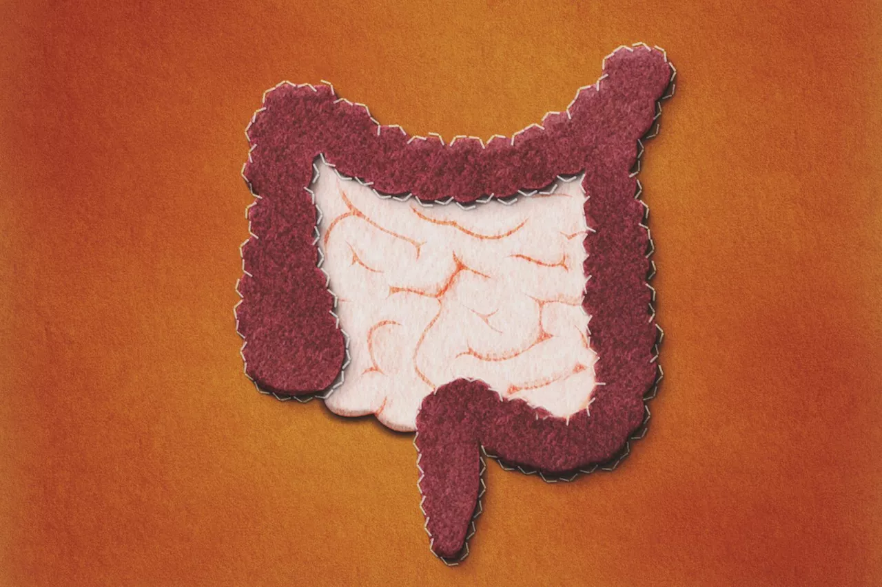 Fecal Microbiota Transplantation Shows Promise for Type 1 Diabetes Gastrointestinal Issues