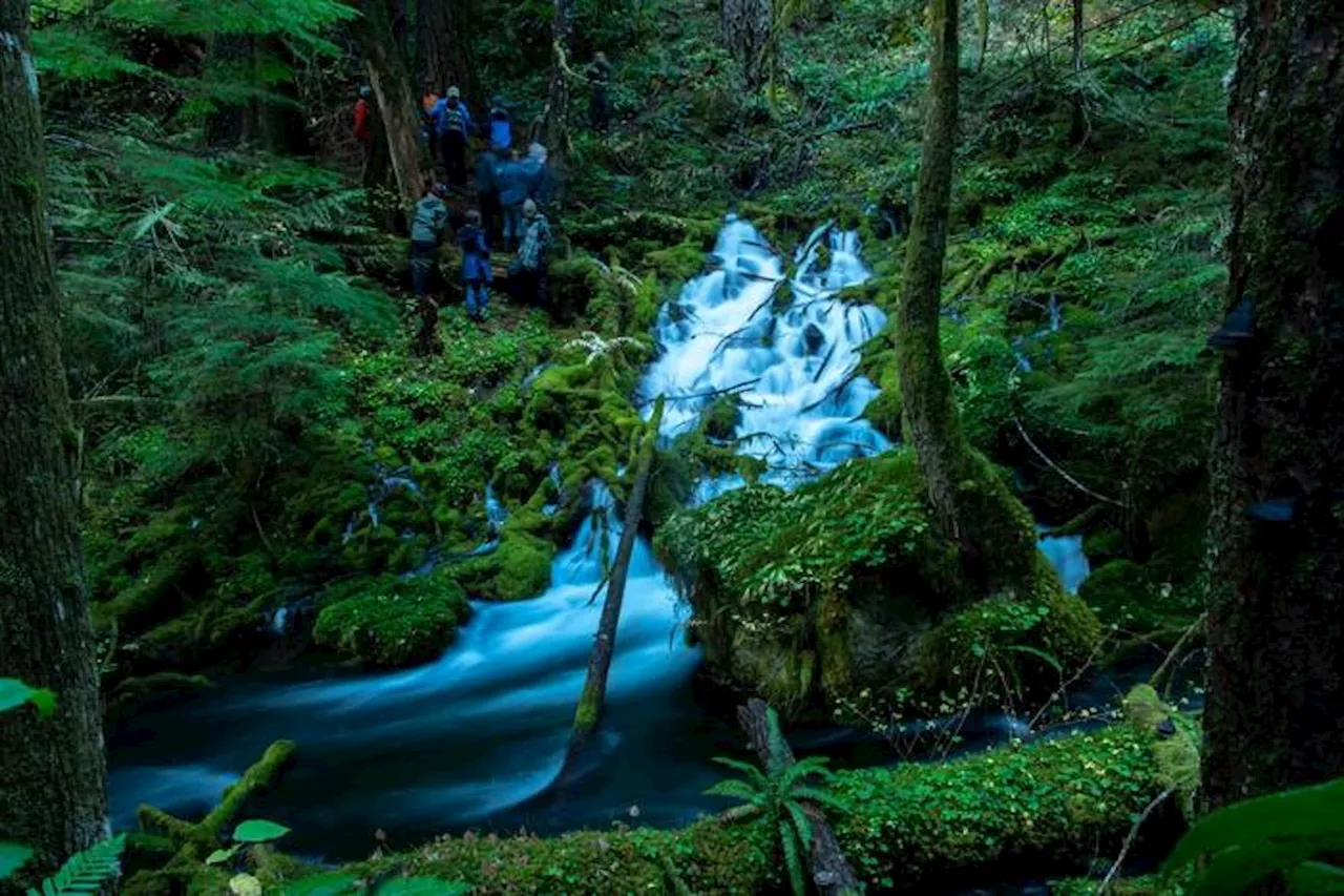 Massive Subterranean Water Reservoir Discovered in Oregon's Cascades