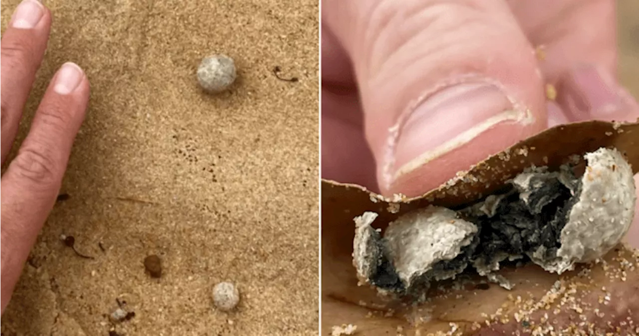 Mystery balls of debris prompt closure of 9 beaches in Sydney, Australia