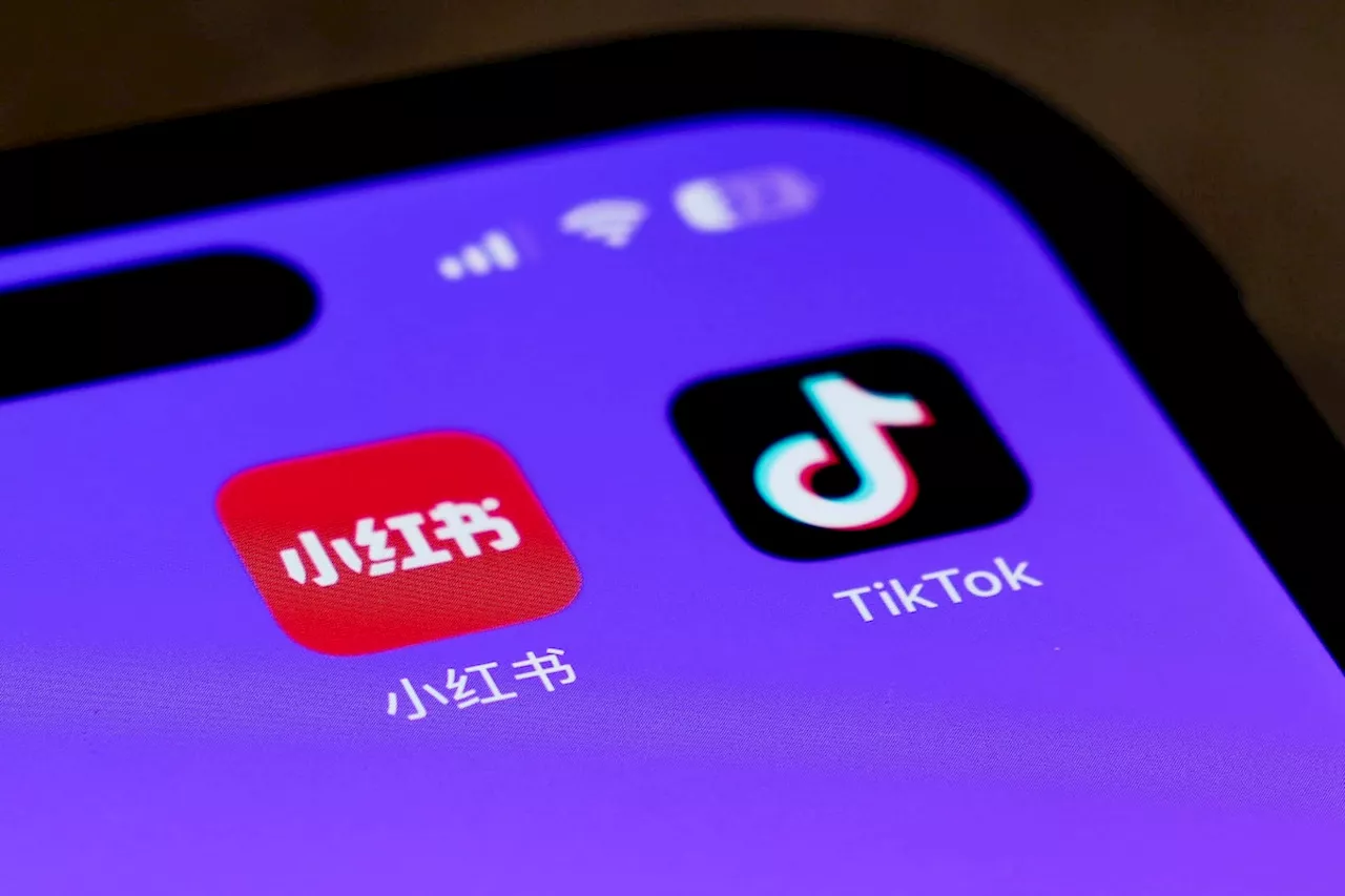 U.S. users flock to Chinese app Xiaohongshu in protest with TikTok ban looming