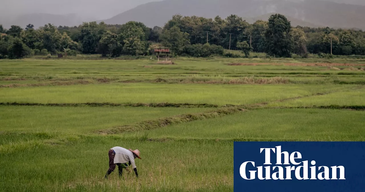 Nobel Laureates Issue Urgent Plea for Food Production Increase