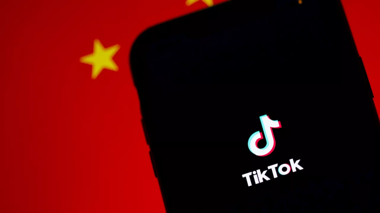 Elon Musk Named as Potential Buyer for TikTok US Amidst Uncertain Future