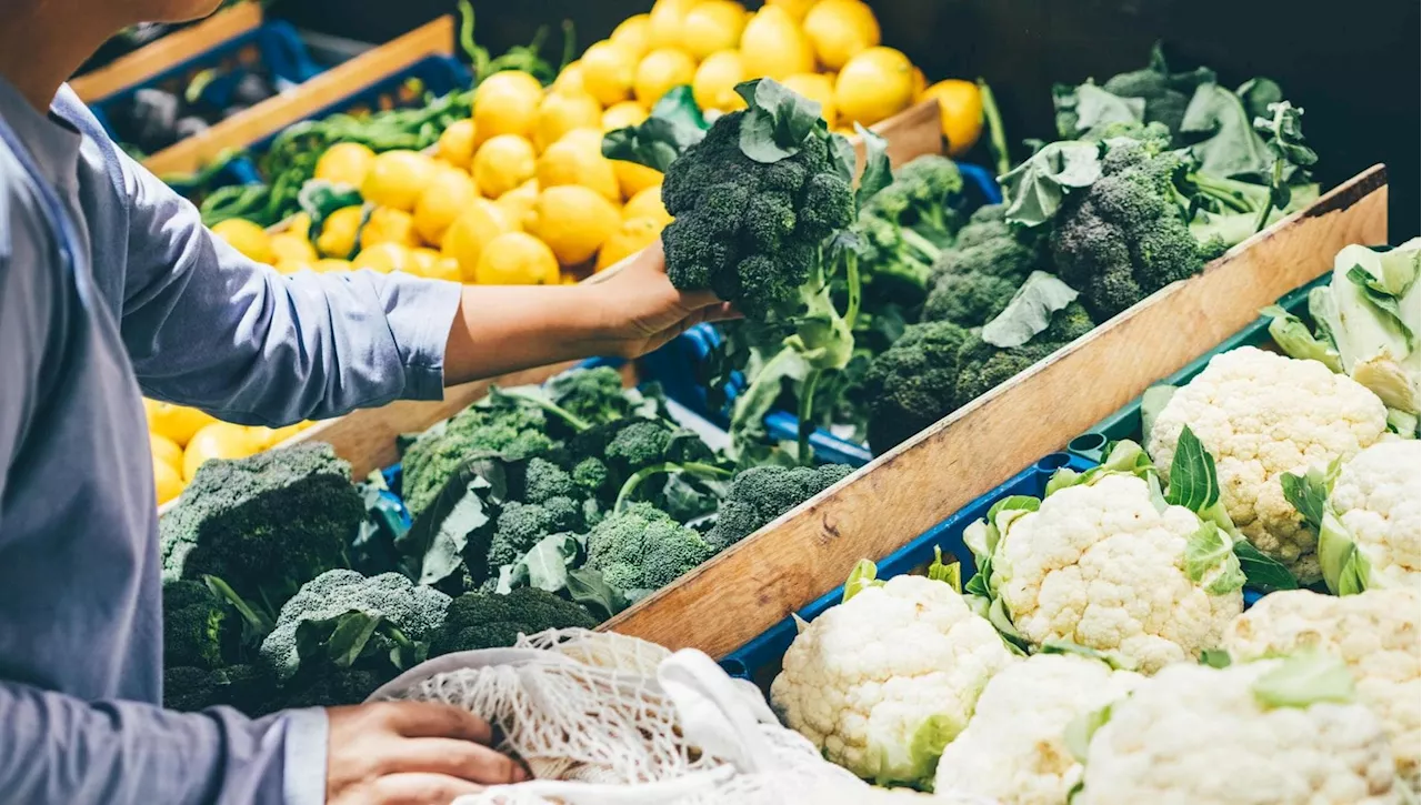 Il Clima Imprevedibile: L'Agricoltura Italiana si Confronta con la Schizofrenia del Clima