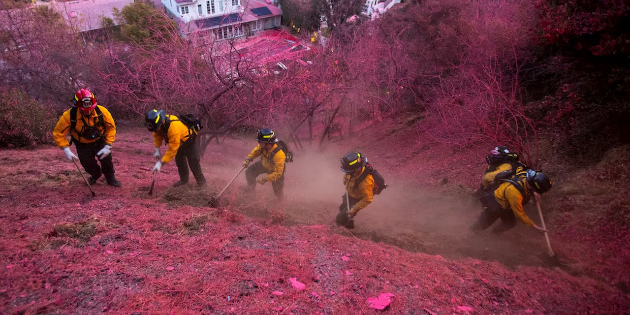 Los Angeles è coperta da una polvere rosa