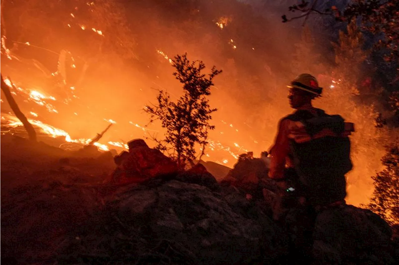 Barclays Predicts $17 Billion to $30 Billion in Losses from California Wildfires