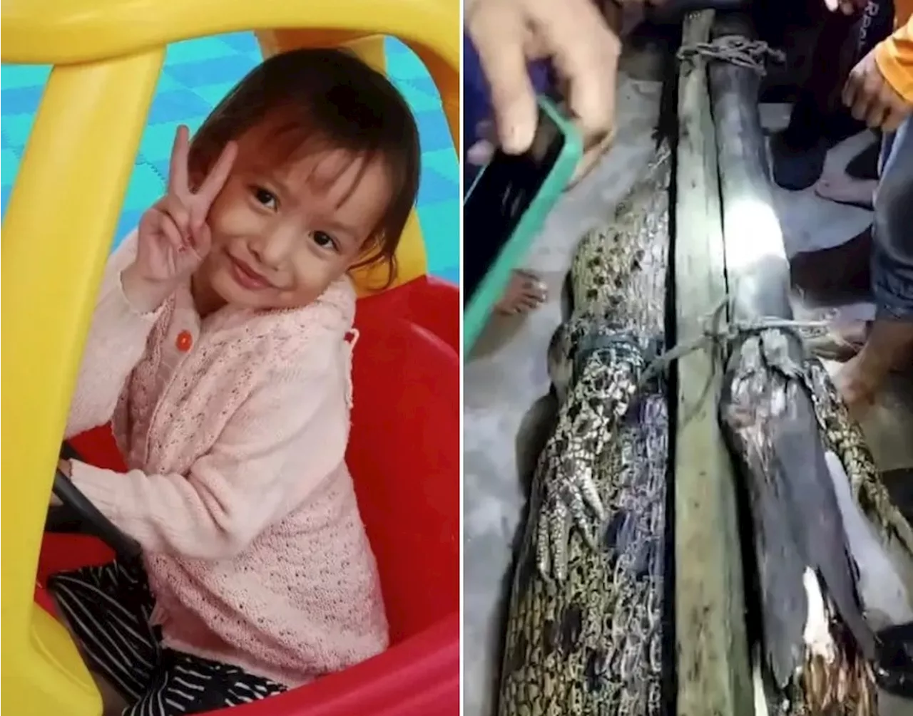 Menina de 5 anos morre após ataque de crocodilo em lago na Indonésia