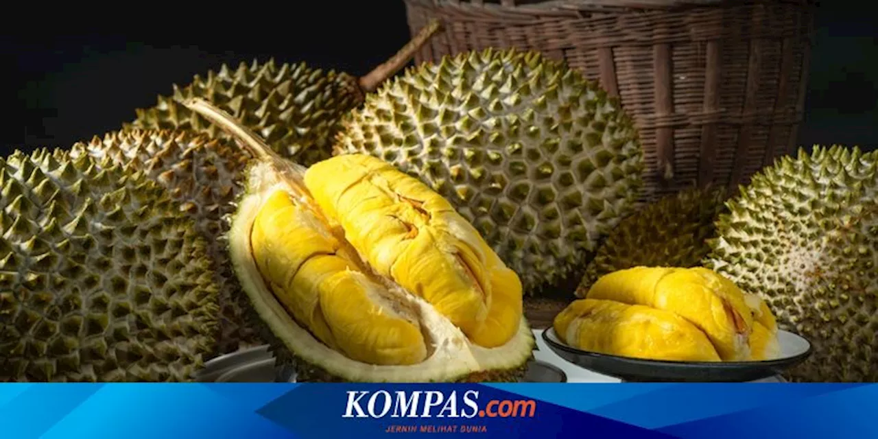 Kalahkan Indonesia, Nilai Ekspor Durian Vietnam Capai Rp 53,6 Triliun pada 2024