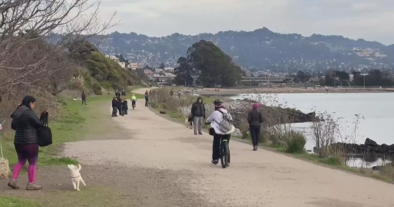 Elevated Radiation Levels Found at Albany Bulb Park