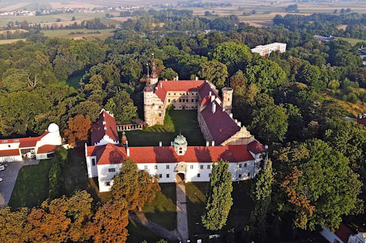 Polish Town Offers Elon Musk a Medieval Castle