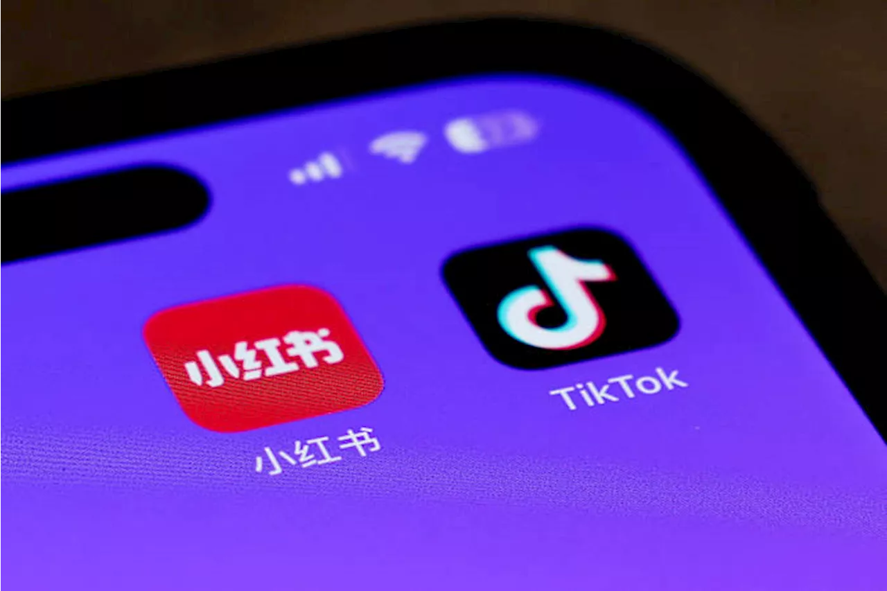 US TikTok users flock to Chinese app Xiaohongshu in protest with TikTok ban looming