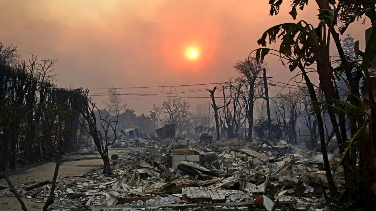 Southern California Fire Evacuees Share Stories of Courage, Resilience, and Unexpected Help