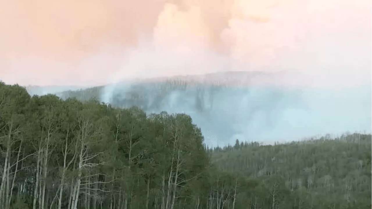 Southern Utah Faces Increased Wildfire Risk Due to Drier-Than-Average Winter