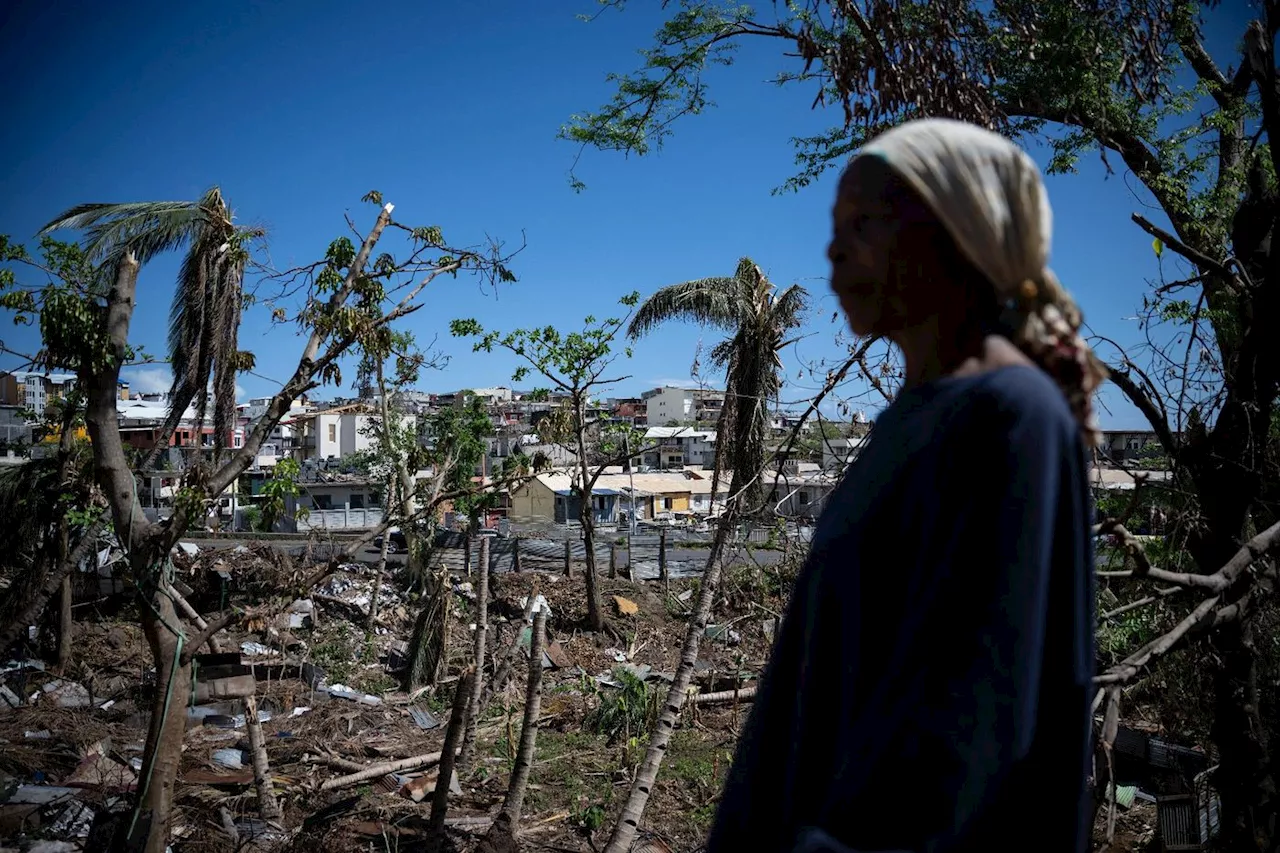 Dévastation à Mayotte après le cyclone Chido: mangroves ravagées, faune décimée