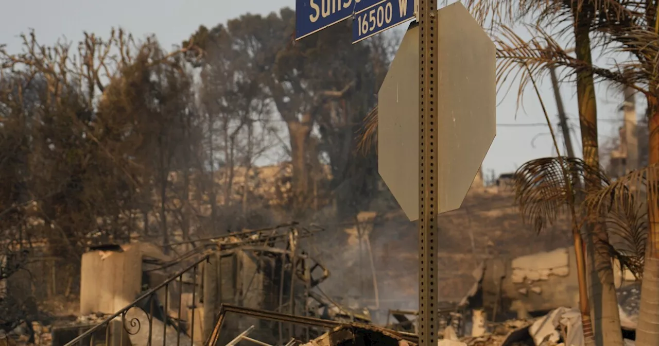 Wildfires Disrupt Hollywood's Awards Season, Oscars Nominations Delayed