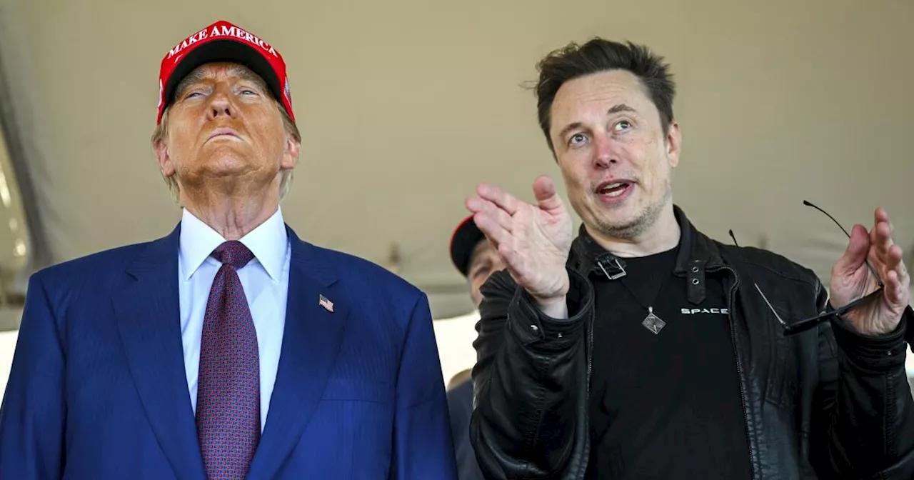 Elomp's Wildfire Conspiracy: How Trump and Musk Are Turning Tragedy into Political Weapon