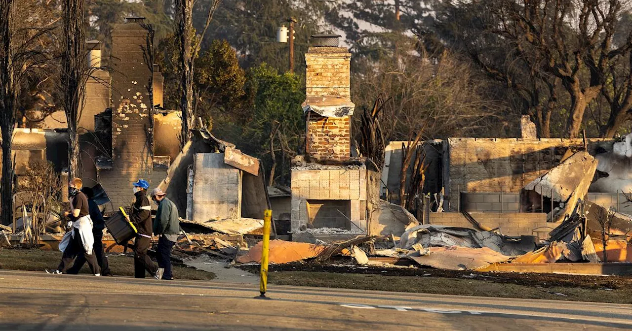 Navigating the Aftermath: FEMA Assistance for Wildfire Victims in Los Angeles County