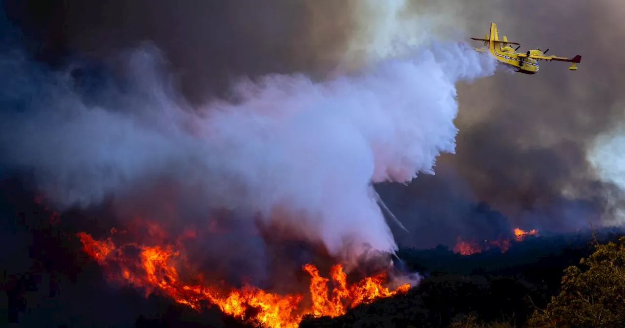 Trail Runners Mistaken for Firestarter After Spotting Palisades Fire Early