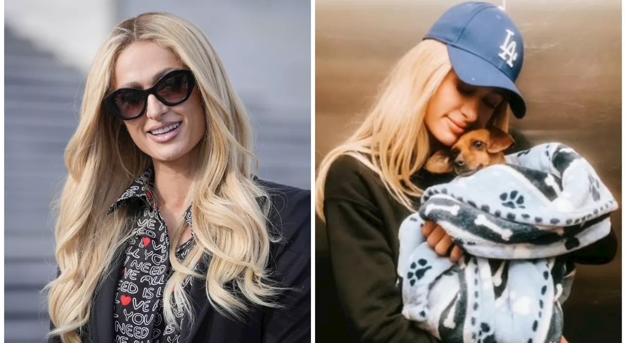 Paris Hilton si attiva per gli incendi di Los Angeles: adozione e raccolta fondi