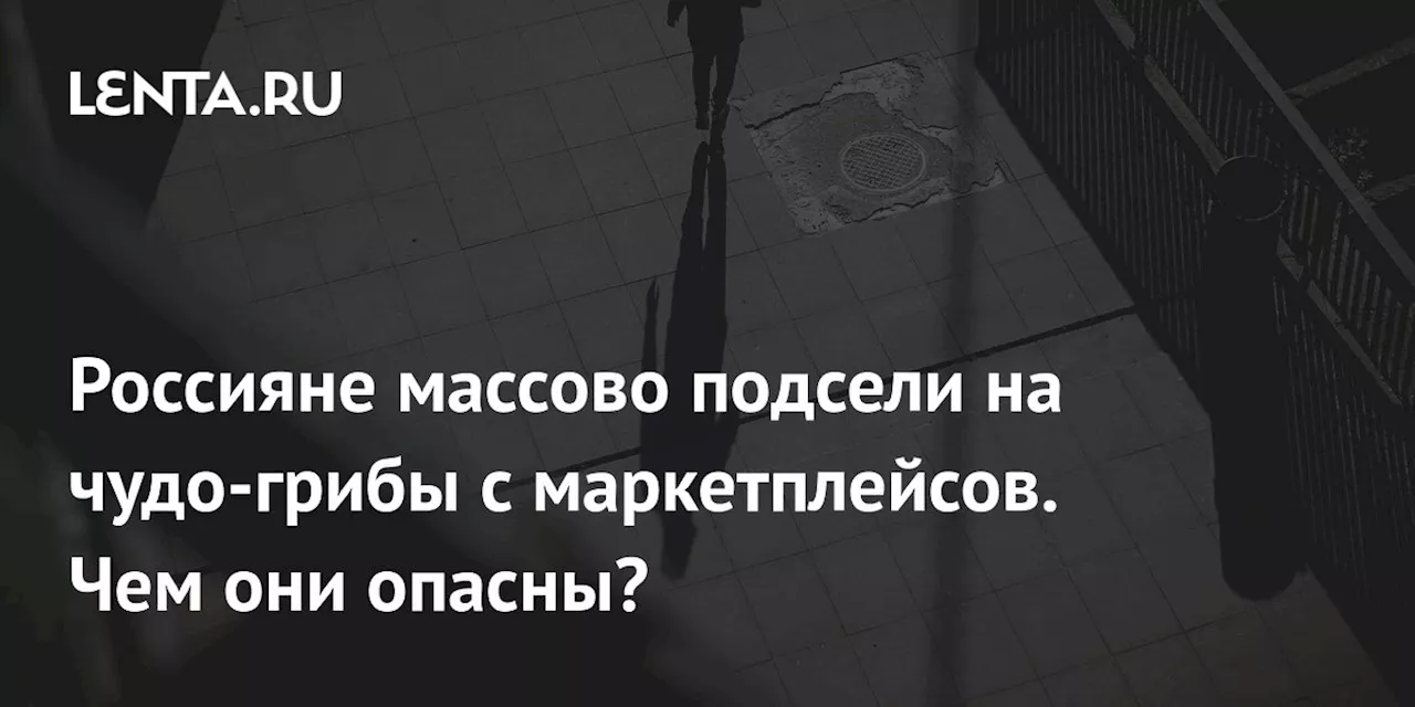 Чудодейственные грибы: польза или опасность?