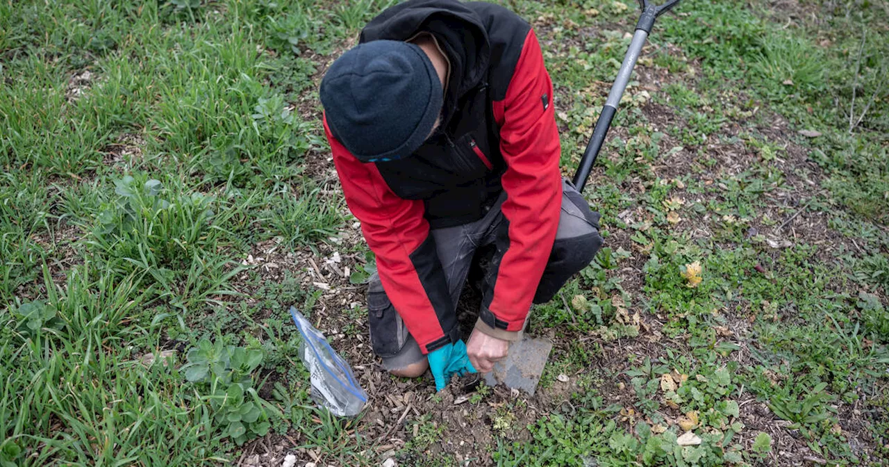 Nettoyer l'Europe des Pfas : un coût exorbitant