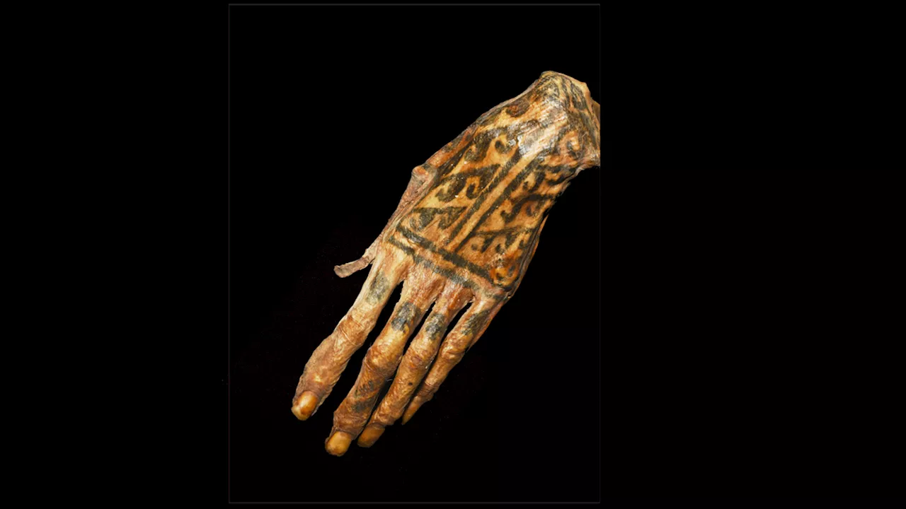 Laser Technique Reveals Intricate Tattoos on Ancient Peruvian Mummies