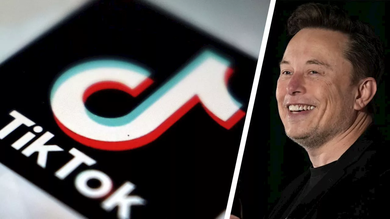 China will offenbar das US-Geschäft von Tiktok an Elon Musk verkaufen