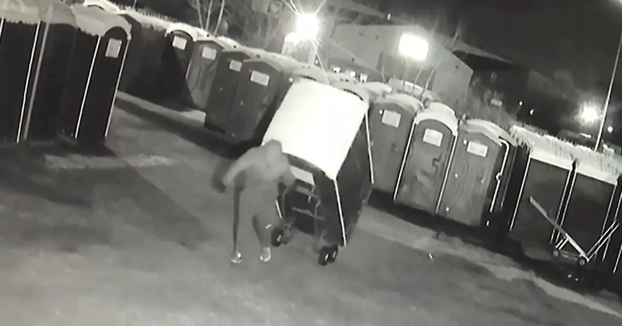 Gang Steals 13 Portable Toilets in Bizarre Raid