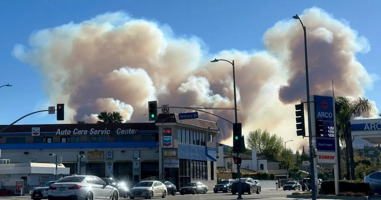 Los Angeles residents could see power cuts in bid to stop new fires