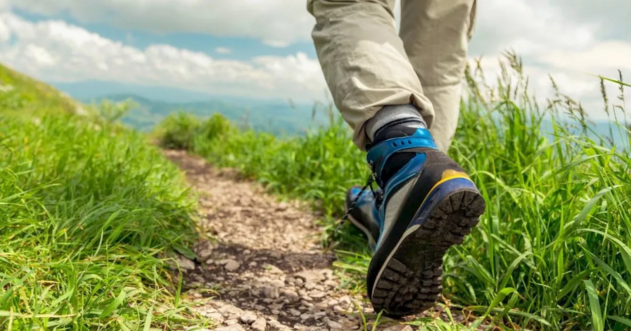 Man Walks 250,000 Steps In A Week And Reveals Unexpected Results