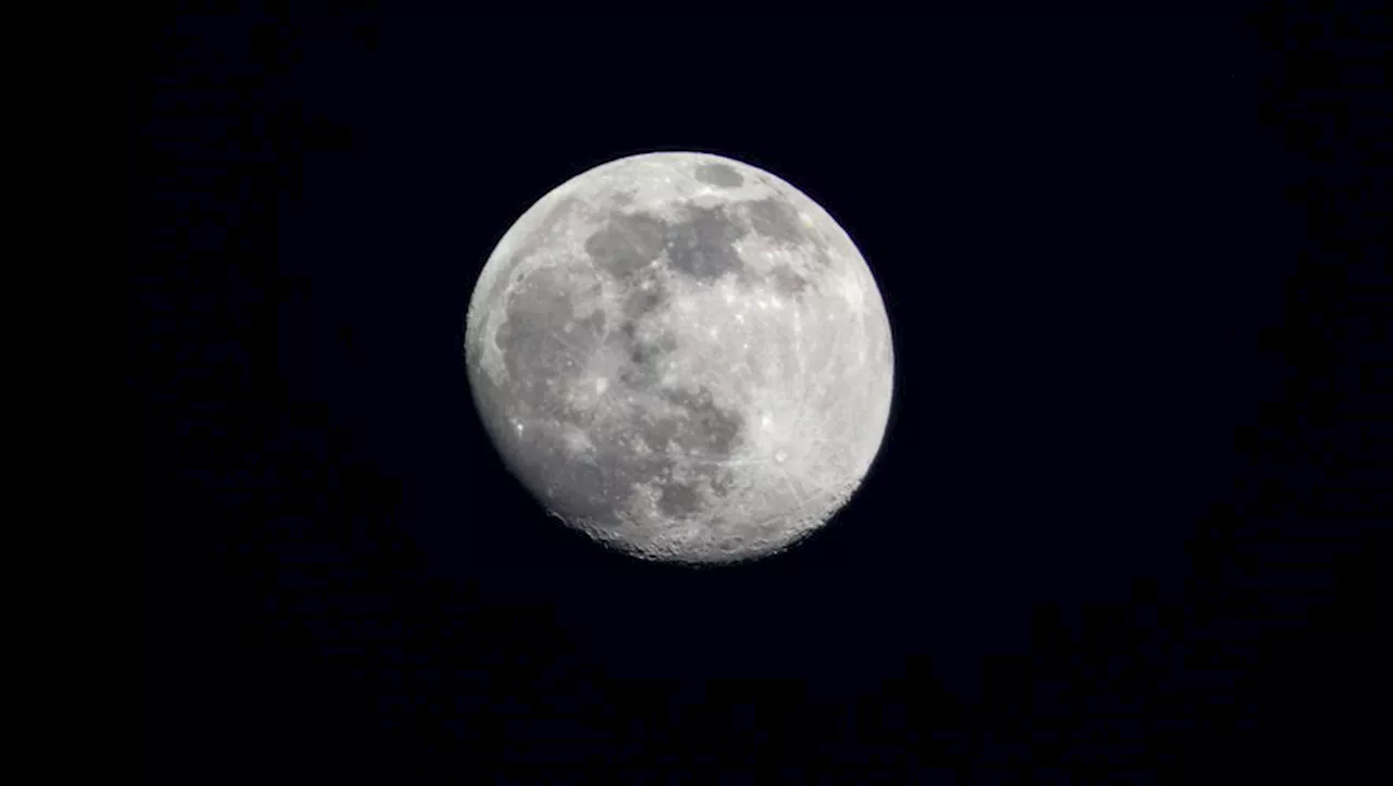 La première pleine lune de 2025, surnommée 'Lune du loup', illuminera le ciel mardi soir