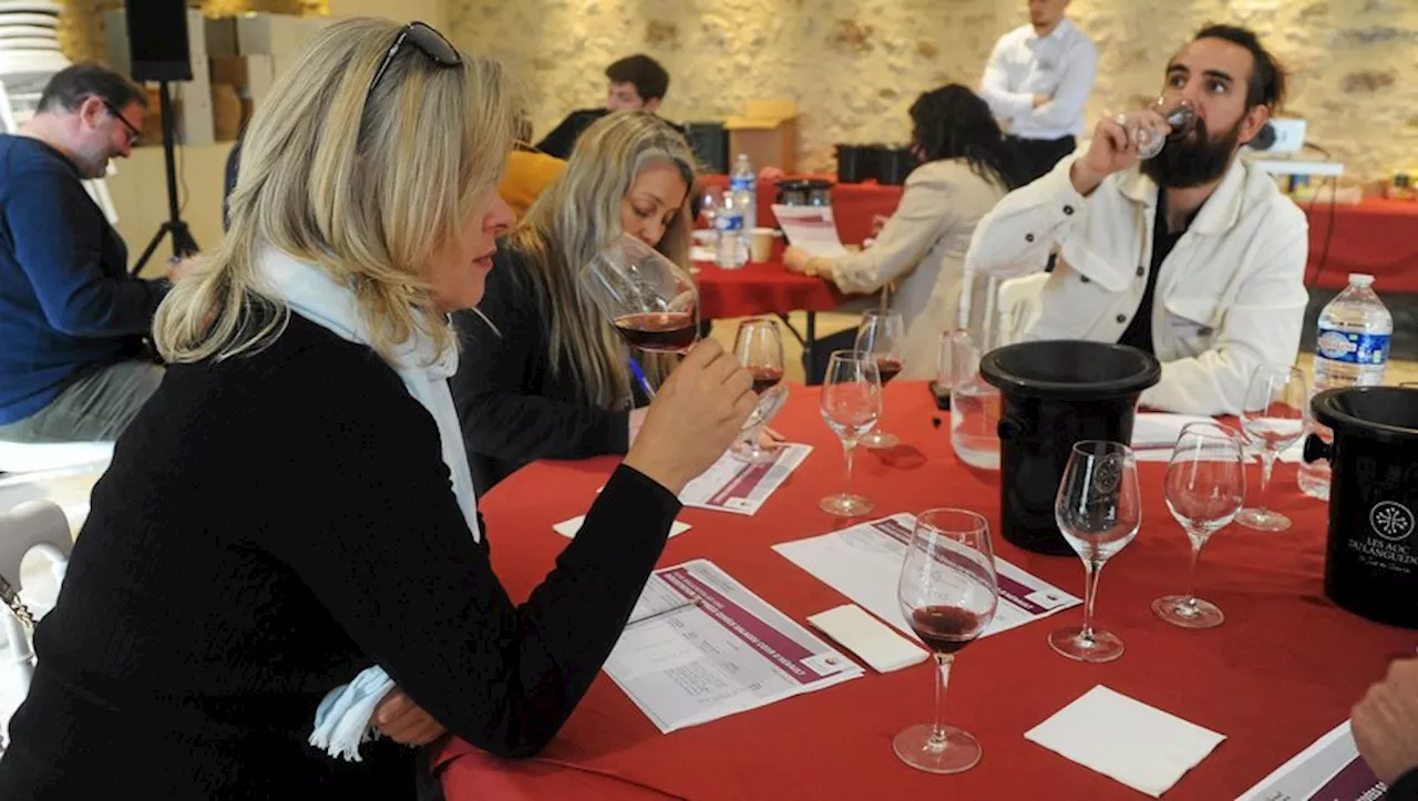 Le Palmarès des Cuvées Salagou Coeur d’Hérault : Une 2e édition prometteuse