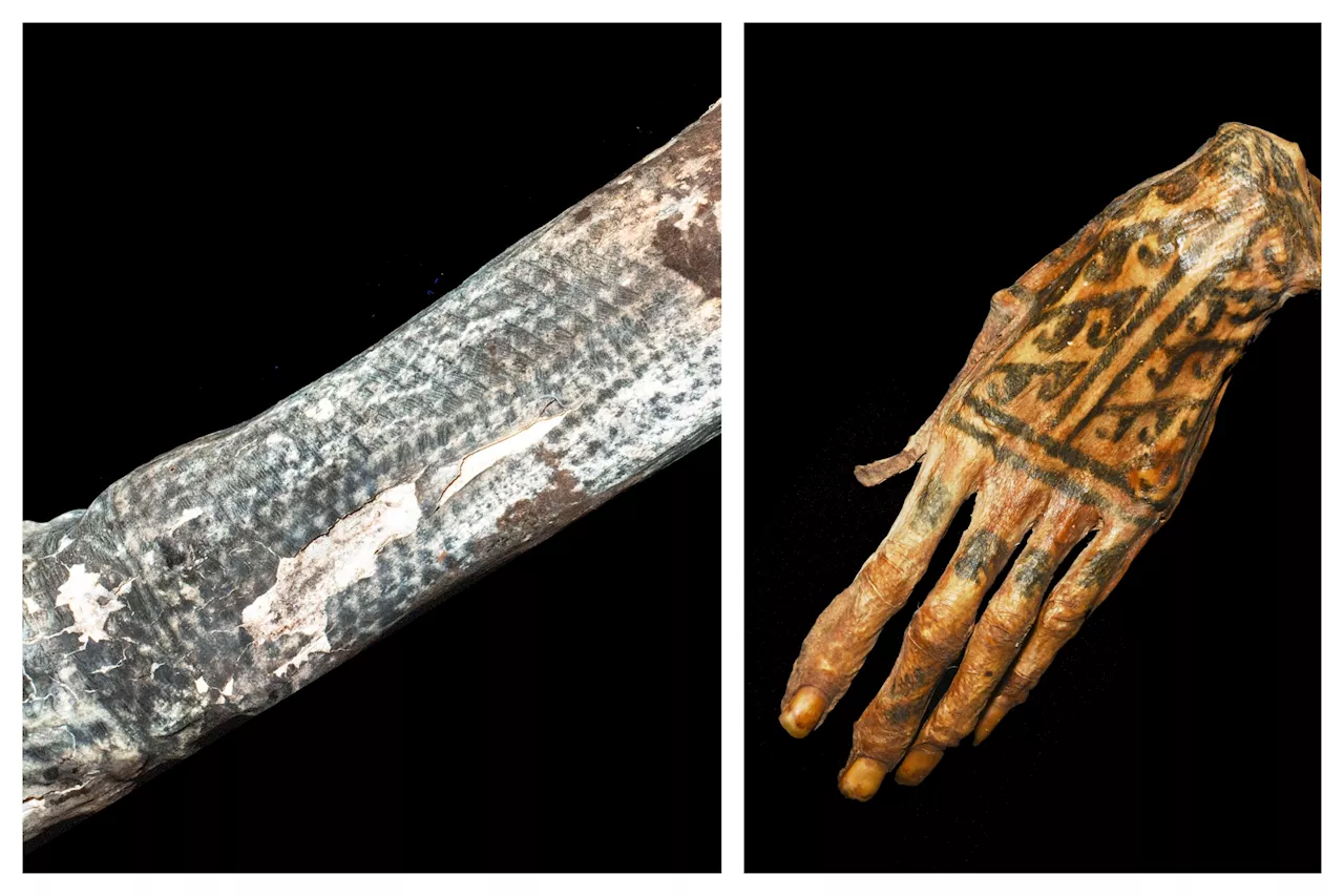 Ancient Peruvian Mummies Reveal Unexpectedly Complex Tattoos Through Laser Technology