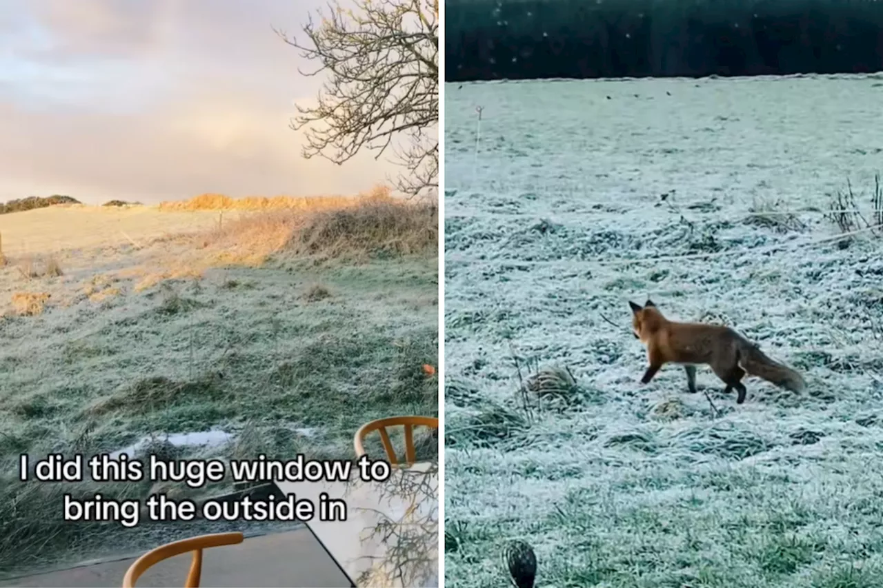 Irish Whiskey Maker's Floor-to-Ceiling Windows Offer Stunning Views and Spark Viral Debate