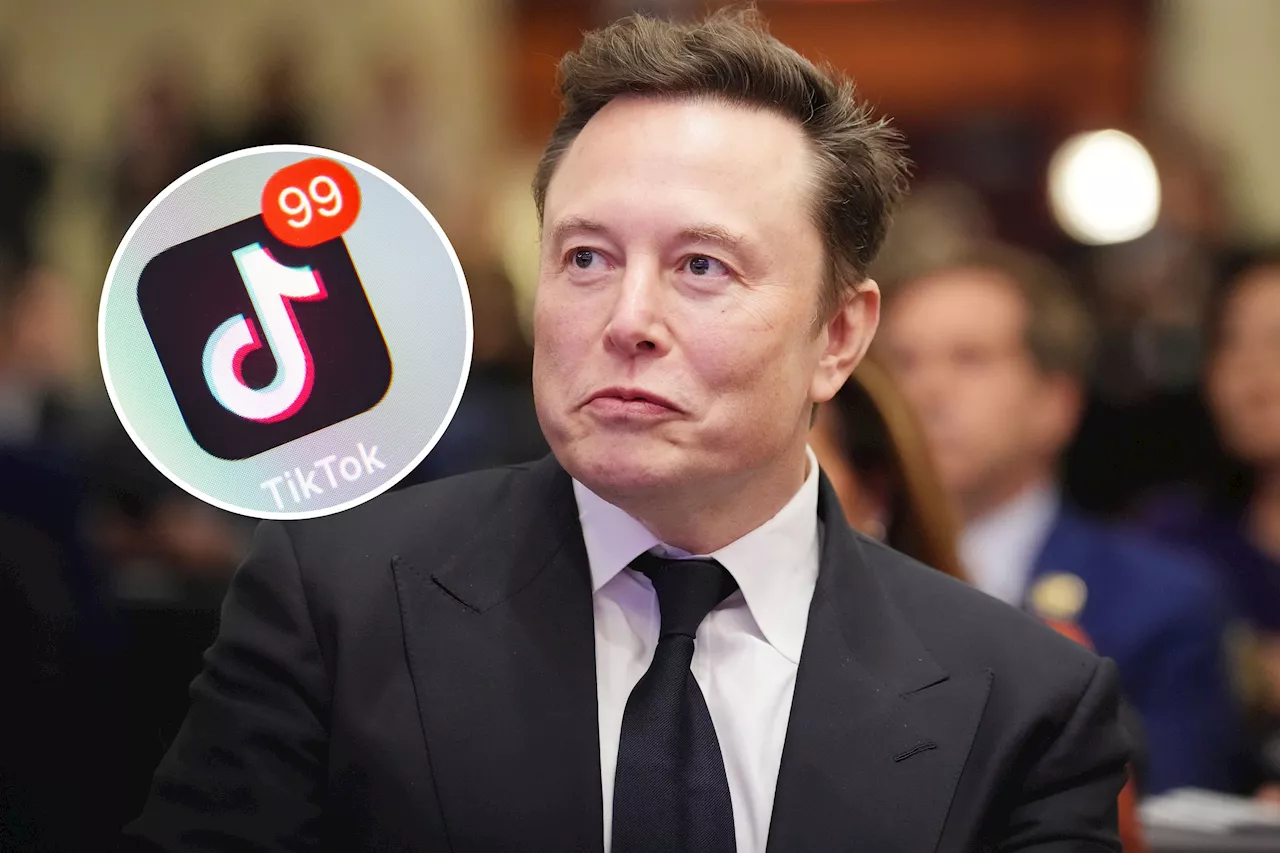 TikTok Responds to Elon Musk Sale Report: 'Pure Fiction'