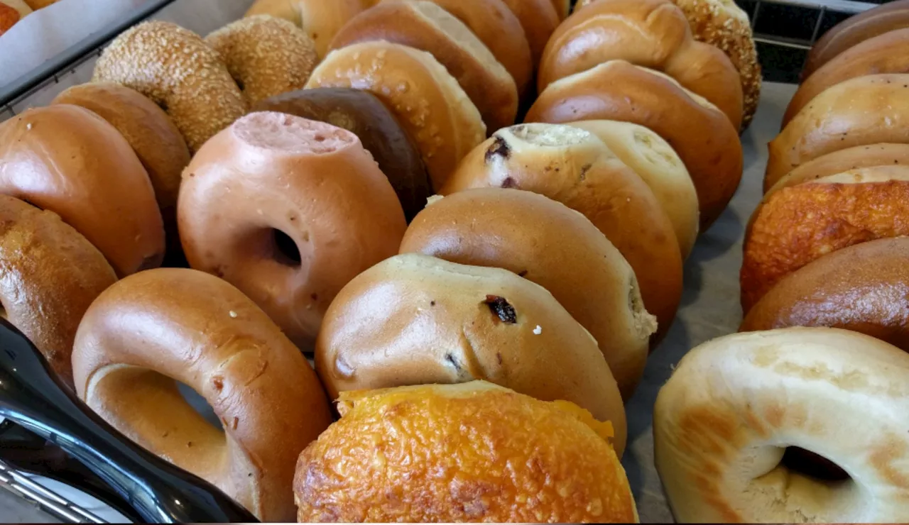 Celebrate National Bagel Day with Free Bagels and Delicious Deals