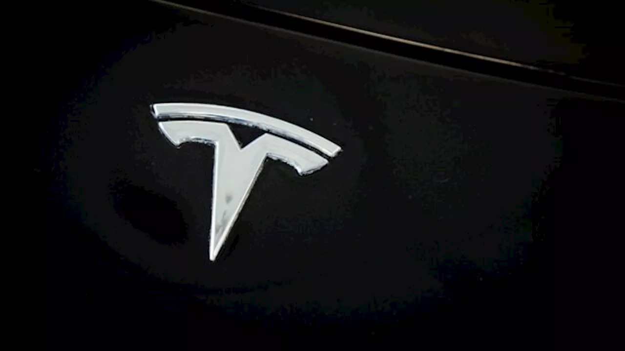 Deel van Tesla-rijders schaamt zich: 'Elon Musk is een radicale maniak'