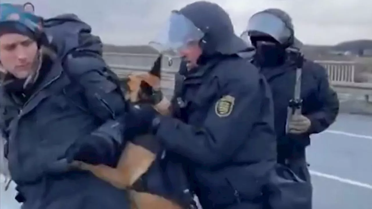 Polizist in Riesa wegen Hundeneinsatzes gegen Demonstranten vor Gericht