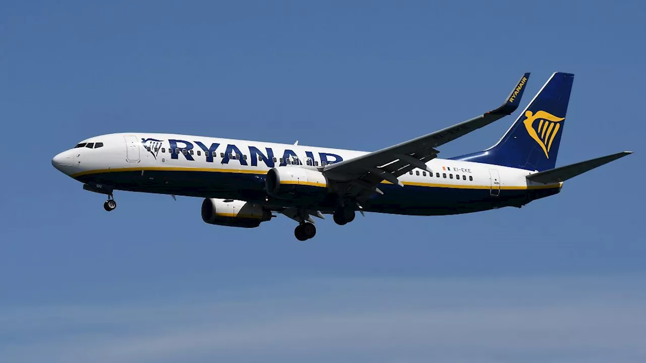 Teure Zwischenlandung: Ryanair fordert von EU ein Limit beim Alkohol an Flughäfen