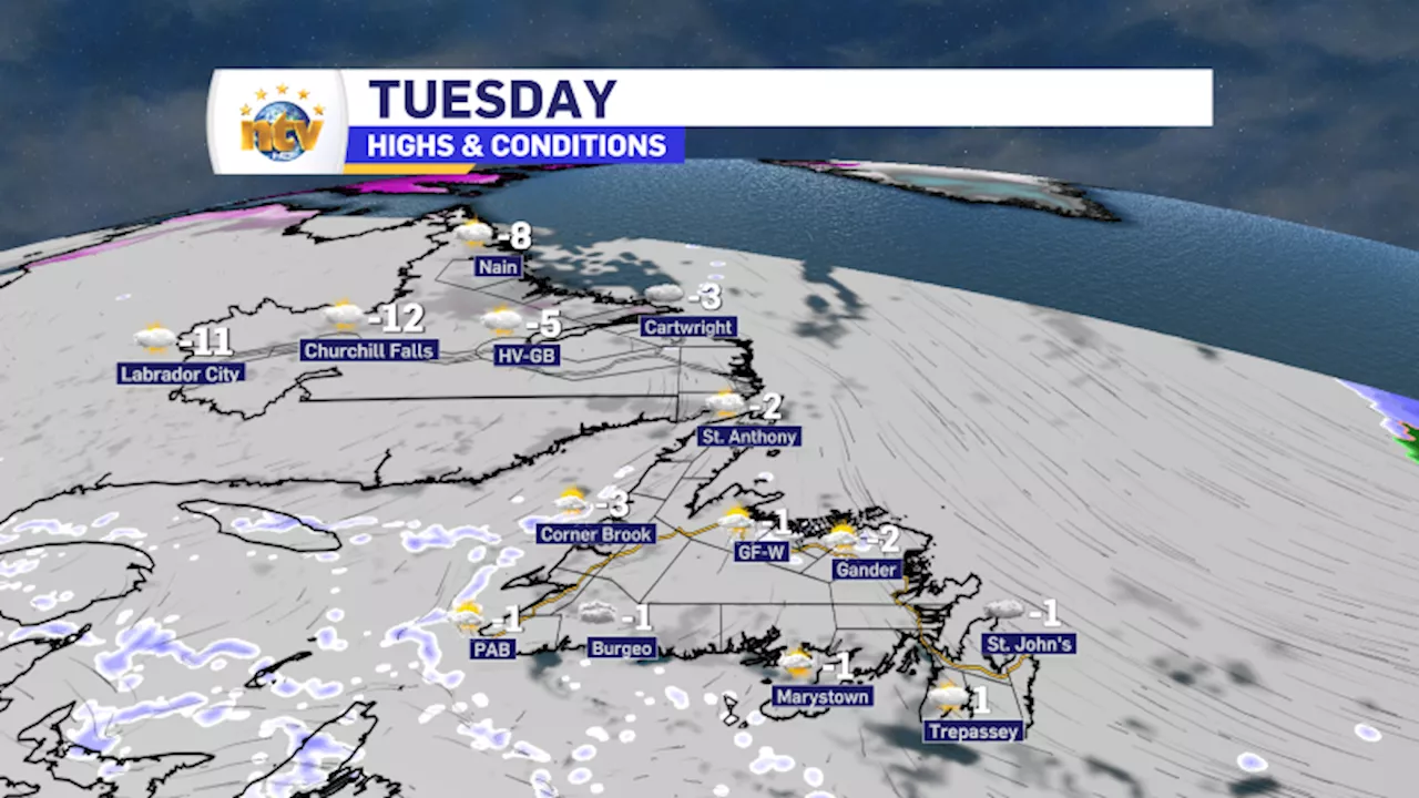 Freezing Drizzle and Snow Create Slick Conditions in Newfoundland