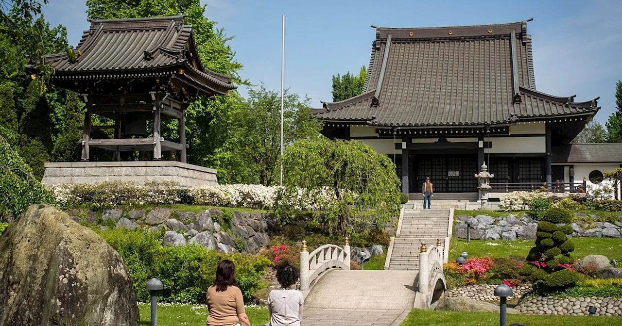 Düsseldorf: Japanisches Flair in der Rheinmetropole