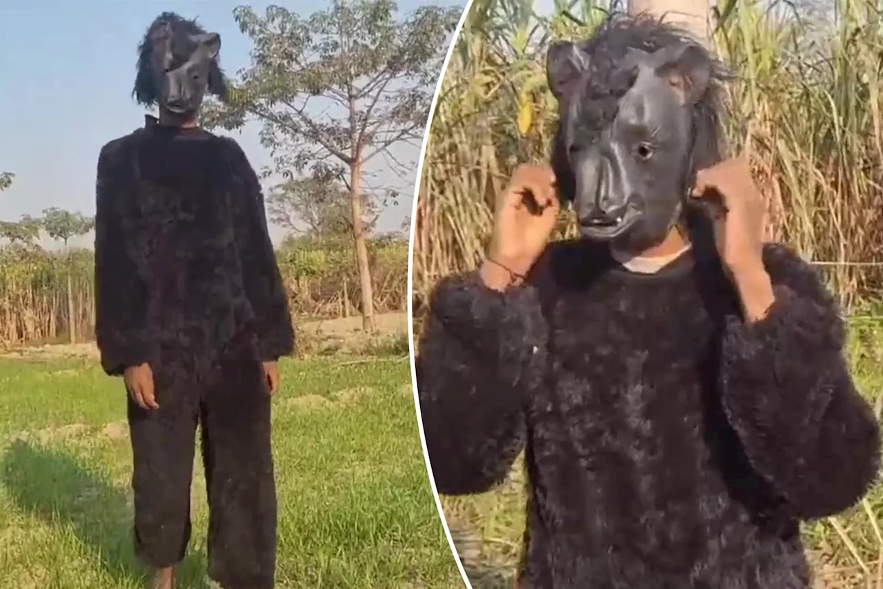 Fed-up farmers in India have started wearing bear costumes to protect crops from monkeys