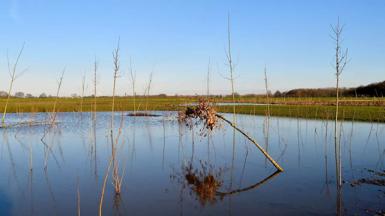 Levensbos in Breda staat onder water, maar dat is niet erg